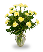 Eighteen carnations in a clear vase